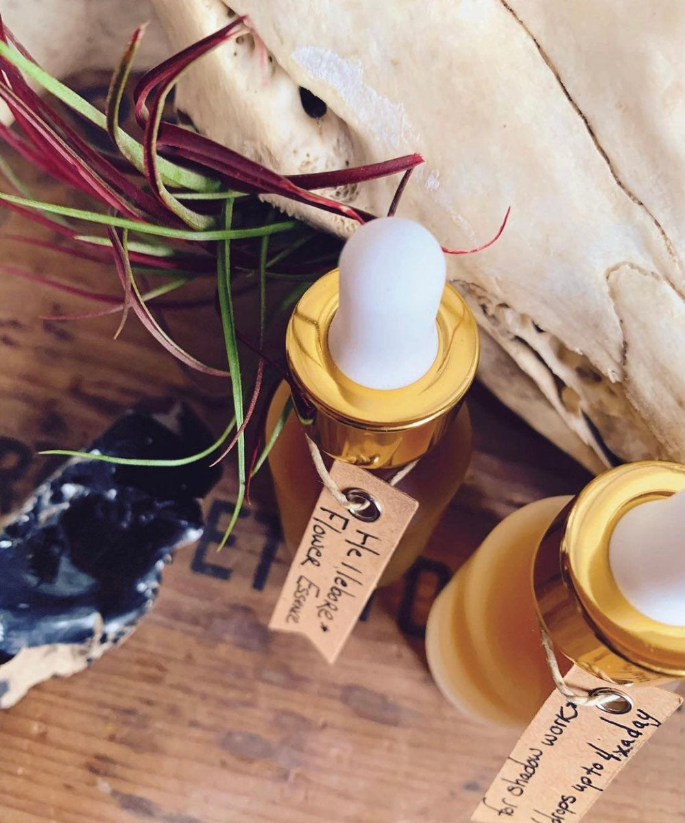 Black Hellebore Flower Essence for Shadow Work, Grief, Old Pain, Ances