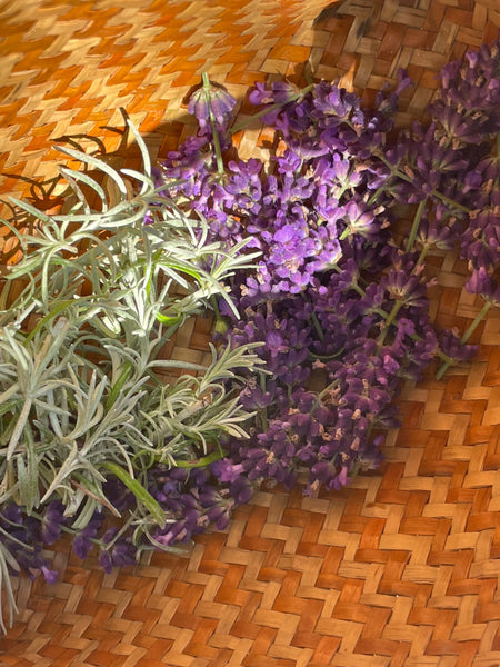 Lavender Hydrosol