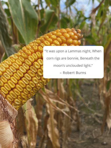 The Corn Mother Box