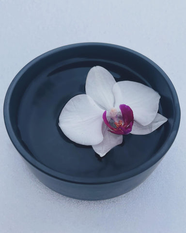 White Orchid Flower Essence for Reverence and Connecting with the Divine.