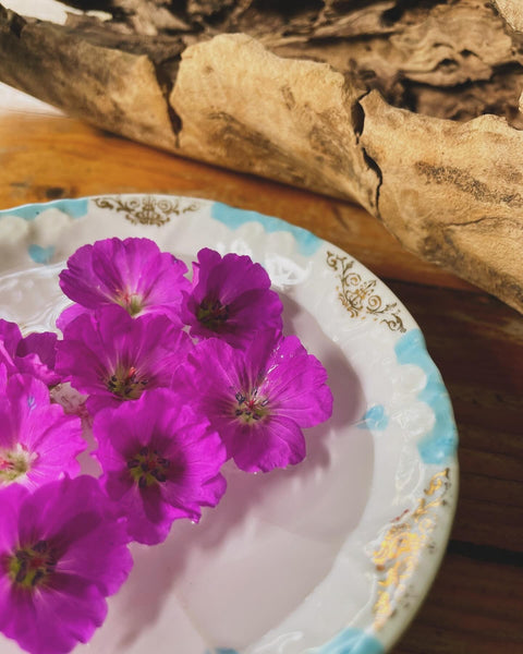 Bloody Geranium Flower Essence for Softening, Love, and an Expanding Life.