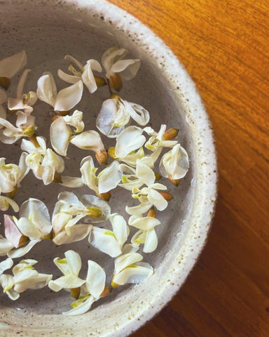Black Locust Flower Essence for Harmony, Flexibility, and Reaching Out.