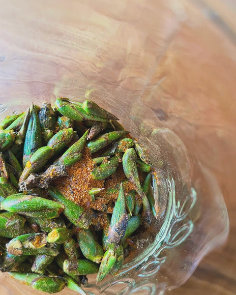 Nienna’s Cottonwood Oil