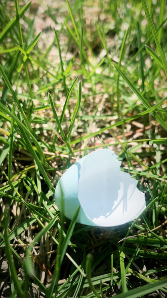 Pine Pollen Cascarilla