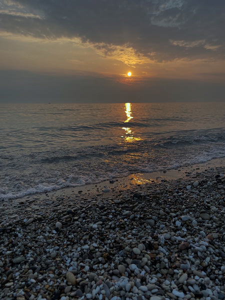 Honeycomb Coral : Found & Lightly Tumbled