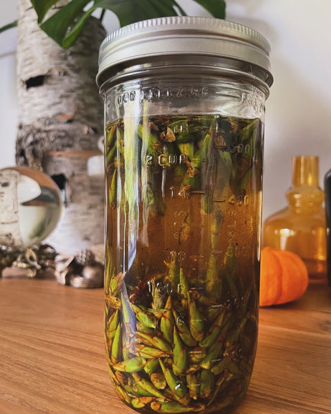 Nienna’s Cottonwood Oil