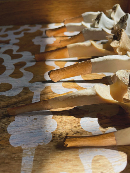 Bonefire Incense Holder