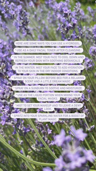 Lavender Hydrosol