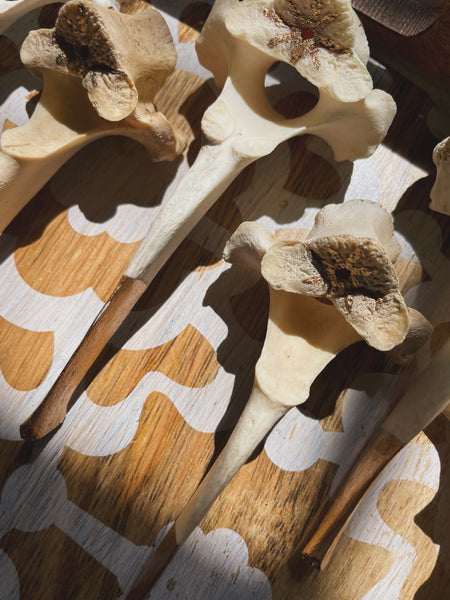 Bonefire Incense Holder