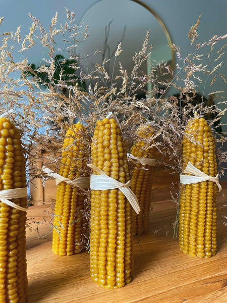 The Corn Mother Box
