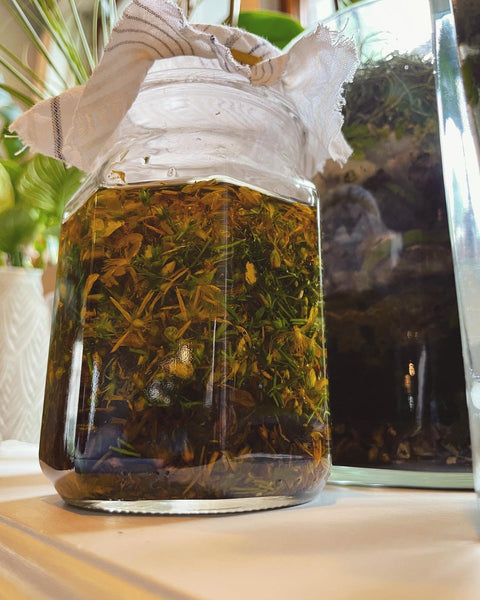 St. John’s Wort Oil