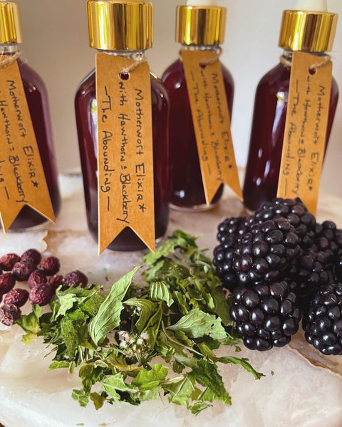 Motherwort Elixir with Blackberry & Hawthorn Berry: The Abounding. For Calm, Heart Health, Digestion, and Protection.