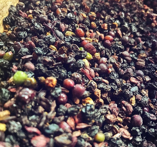 Elderberry Elixir with Clove: The Letting Go. Immune Support and Connection Through Ritual.