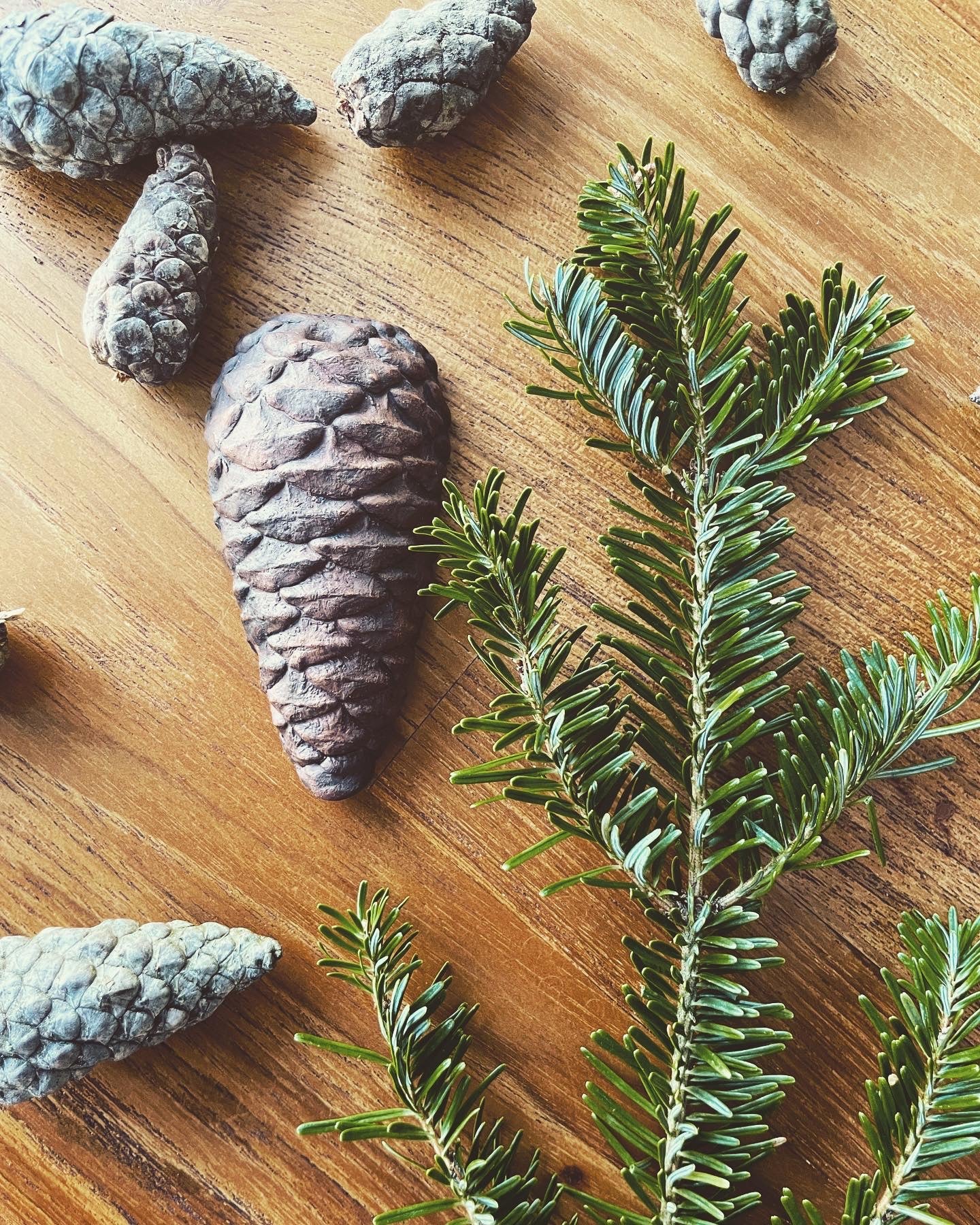 Fir Cone Pipe for Winter Magick & New Beginnings. Choice of Smoke Blend.