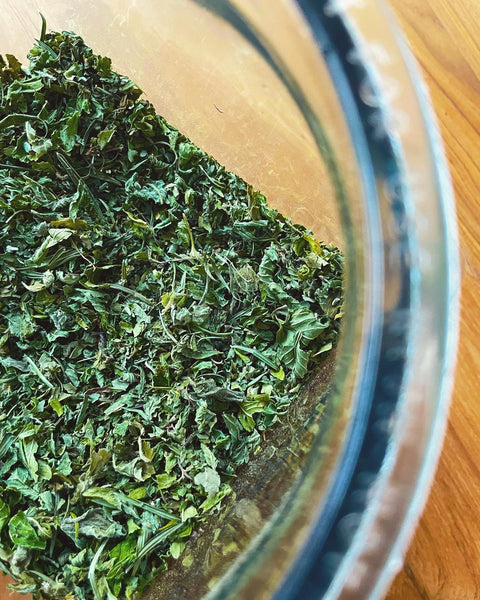 Mint Elixir with Clementine: The Celebrating. Digestive Ease, Calm Nerves, and Healing.